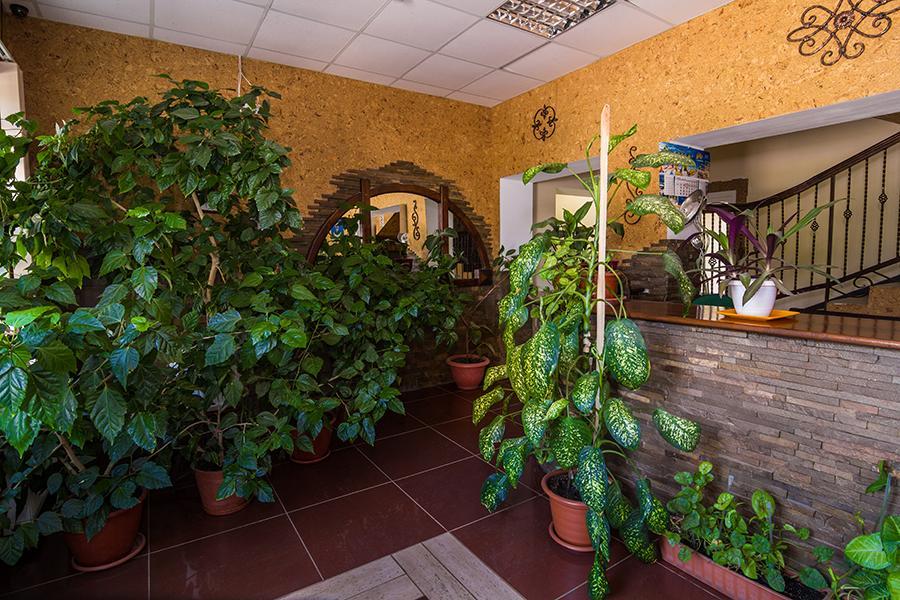 Hotel Citadella Skadovsʼk Exteriér fotografie